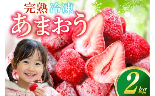 いちご 冷凍 完熟 あまおう 2kg [ストロベリーファーム 福岡県 宇美町 um40azp070000]  【2027年発送先行受付】 イチゴ 苺 フルーツ 冷凍フルーツ 果物 果実 甘い あまい 冷凍いちご 冷凍苺 冷凍イチゴ