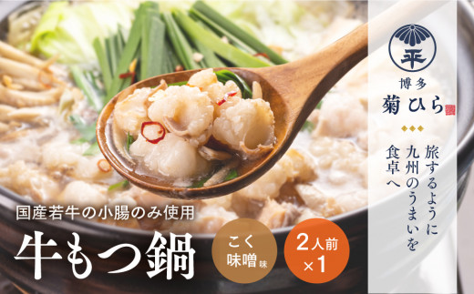 もつ鍋 博多菊ひら 厳選 国産 若牛 もつ鍋セット こく味噌味 2人前 [ベイシス福岡 福岡県 宇美町 um40azp130004] 牛もつ鍋 モツ鍋 モツ鍋セット 鍋 博多 セット