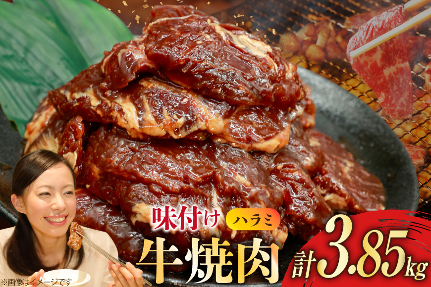 牛肉 味付け牛 サガリ 350g 11袋 計約3.8kg [小林食品 福岡県 宇美町 um40azo890015] 肉 焼き肉 サガリ 味付け牛肉 牛焼肉 個包装 冷凍