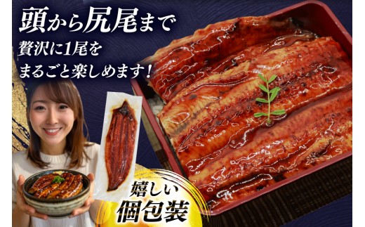 うなぎ 訳あり 蒲焼 特大 肉厚 3尾 約 1.1kg 小分け タレ 山椒付き [大黒物産 福岡県 宇美町 um40bak830001] 不揃い 規格外 家庭用 鰻 ウナギ unagi うなぎ蒲焼 鰻蒲焼き 蒲焼き かば焼き 真空パック 個包装 冷凍 1キロ 1k 1万円以下 10000円の品 10000 10000円