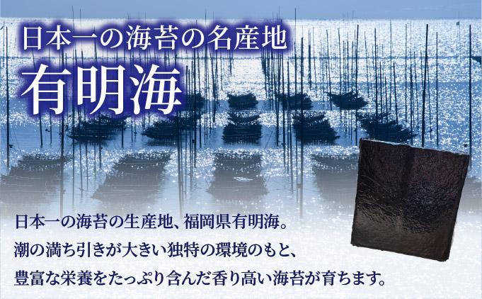 訳あり 有明海苔100枚（50枚×2束）PE016