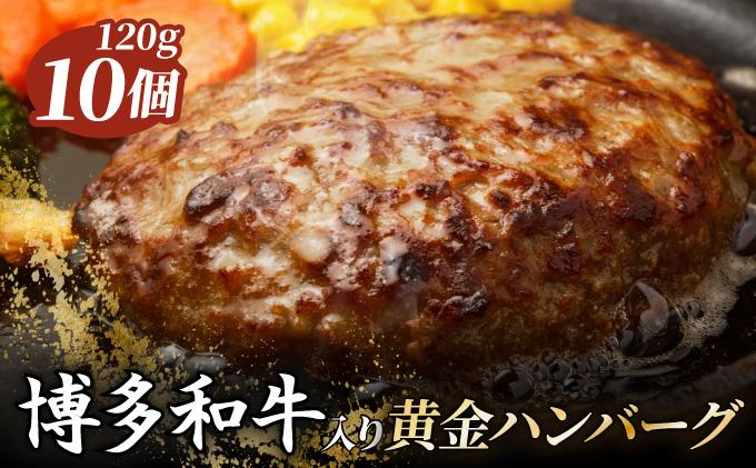 博多和牛入りハンバーグ120g×10個