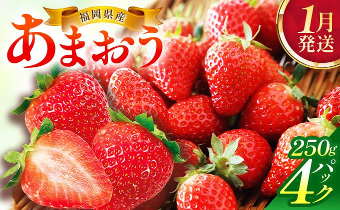 【1月発送】福岡県産あまおう約250g×4パック