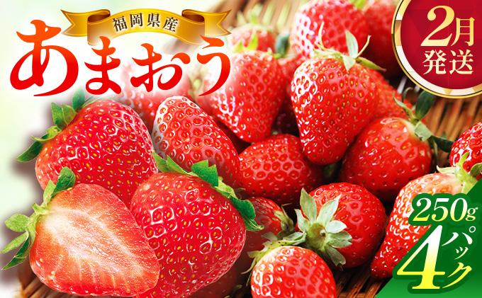 【2月発送】福岡県産あまおう約250g×4パック