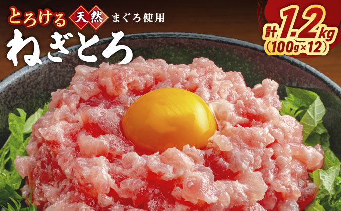 とろけるネギトロ (まぐろたたき)100 g×12P LZ007