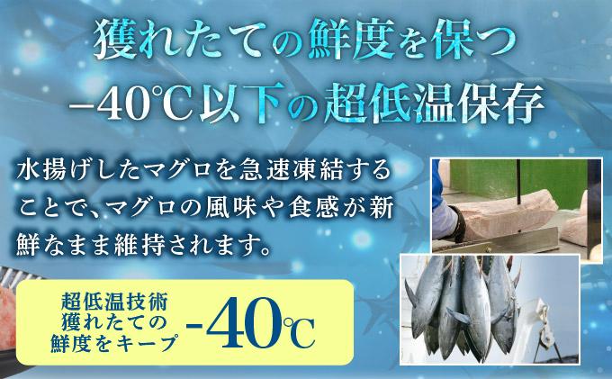 まぐろたたき 500g×2P LZ008