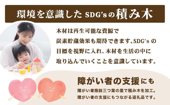 倧人ãåäŸã䜿ããSDGâïœç©ã¿æš