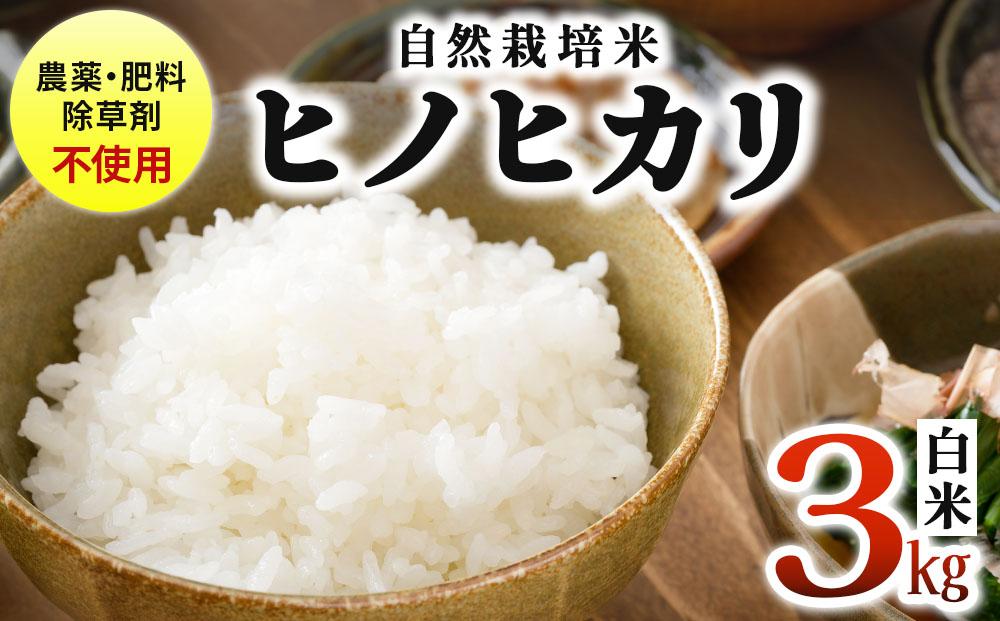 農薬・除草剤・肥料不使用 自然栽培米 令和7年度産ヒノヒカリ 白米 3kg