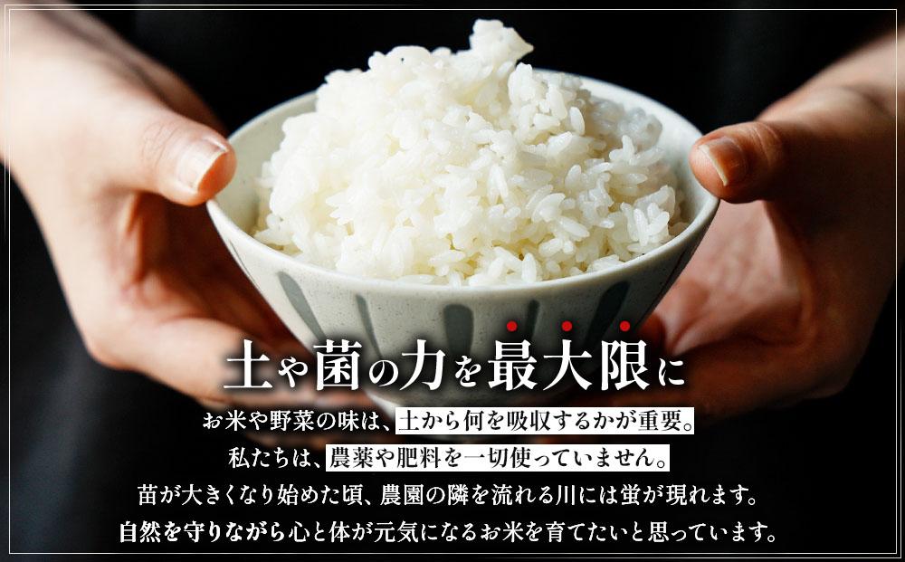 農薬・除草剤・肥料不使用 自然栽培米 令和7年度産ヒノヒカリ 白米 3kg