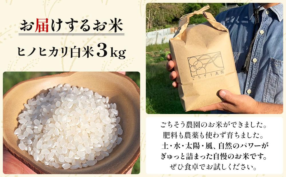 農薬・除草剤・肥料不使用 自然栽培米 令和7年度産ヒノヒカリ 白米 3kg