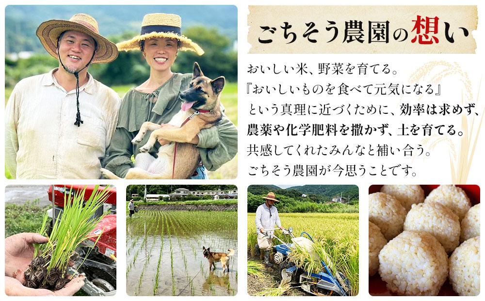 農薬・除草剤・肥料不使用 自然栽培米 令和7年度産ヒノヒカリ 白米 3kg
