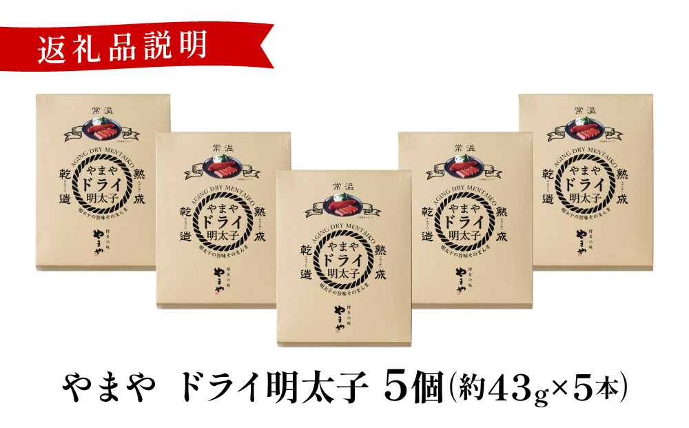 やまや ドライ明太子5個 |ふるさと納税 やまや 明太子 辛子明太子 博多明太子 切子 ご家庭用 熟成明太子 お取り寄せ ごはんのお供 人気 博多グルメ ギフト