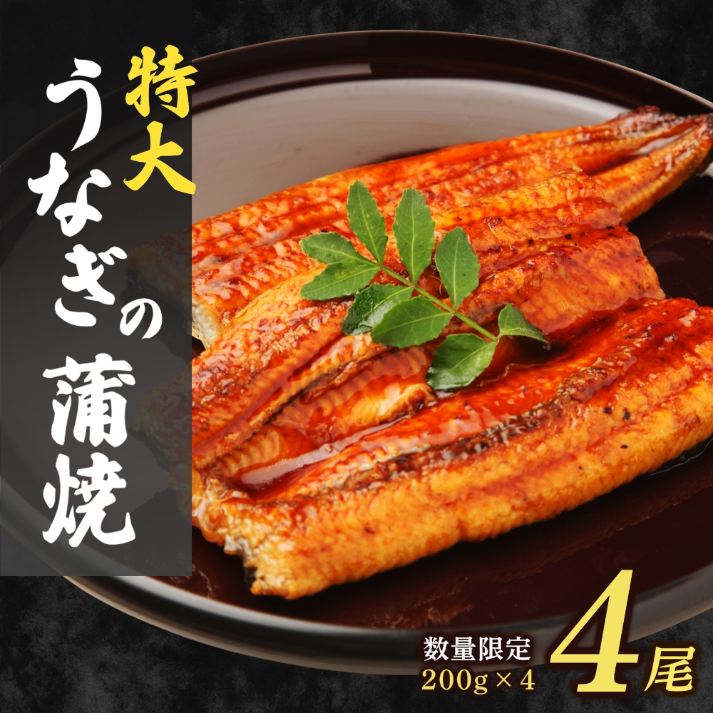 大容量800g！特大うなぎ蒲焼200g×4尾 | ふるさと納税 うなぎ 蒲焼 うなぎ蒲焼 鰻 うな重 うなぎ丼 タレ付き 冷凍 お取り寄せ ギフト 人気 土用の丑の日 九州 グルメ 高級食材