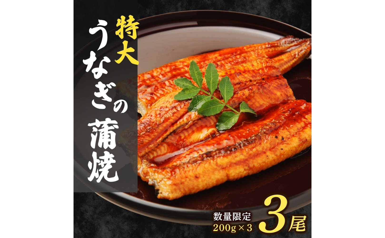 大容量600g！特大うなぎ蒲焼200g×3尾 | ふるさと納税 うなぎ 蒲焼 うなぎ蒲焼 鰻 うな重 うなぎ丼 タレ付き 冷凍 お取り寄せ ギフト 人気 土用の丑の日 九州 グルメ 高級食材