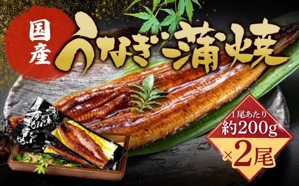 【国産うなぎ蒲焼】200g×2尾（合計400g）| ふるさと納税 うなぎ 蒲焼 うなぎ蒲焼 鰻 うな重 うなぎ丼 タレ付き 冷凍 お取り寄せ ギフト 人気 土用の丑の日 九州 グルメ 高級食材