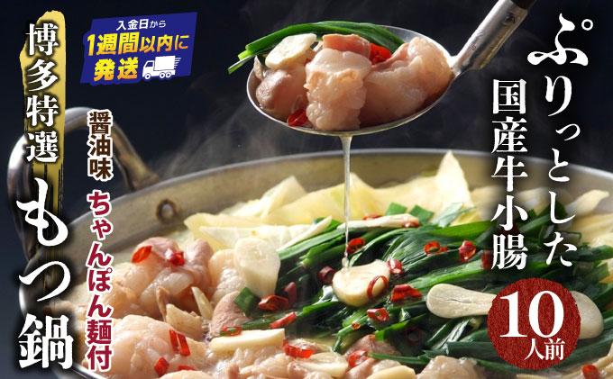 【プリプリの国産牛小腸のみ使用・ボリュームたっぷり10人前】博多特選もつ鍋(醤油味・10人前)【福岡ブランド 】| 短期配送 国産 ホルモン 牛 小腸 お取り寄せ 醤油