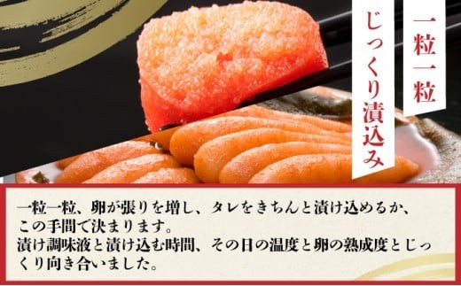 縲伸繧オ繧、繧コ縺ョ螟ェ閻ケ荳譛ャ迚ゥ縲大忽螟夊セ帛ュ先主、ェ蟄500 g(辟。逹濶イ) | 遏ュ譛滄埼 逵溷ュ 鬲壼嵯 縺贋クュ蜈 縺頑ュウ證ョ 雍育ュ皮畑 螳カ蠎ュ逕ィ