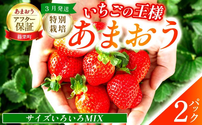 いちご 福岡県産 特別栽培 あまおう サイズいろいろMIX 約570g（約285g×2パック）【3月発送】　農園直送 アフター保証 先行予約 福岡産 送料無料 ケーキ ギフト お祝い 限定 季節限定 UN006