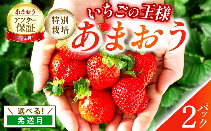 いちご 福岡県産 特別栽培 あまおう サイズいろいろMIX 約570g（約285g×2パック）【1～2月発送】　農園直送 アフター保証 先行予約 福岡産 送料無料 ケーキ ギフト お祝い 限定 季節限定 UN005