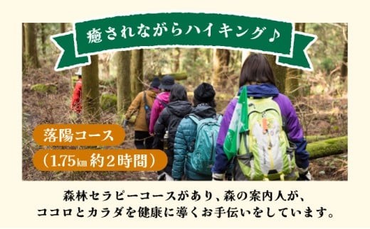 篠栗町森林セラピー体験1～3名様【落陽コース（1.75km/約2時間）】FZ004 | 森林 セラピー ハイキング 自然 体験 森 観光 四国八十八ヶ所霊場 お遍路 篠栗町