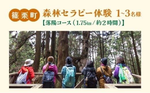 篠栗町森林セラピー体験1～3名様【落陽コース（1.75km/約2時間）】FZ004 | 森林 セラピー ハイキング 自然 体験 森 観光 四国八十八ヶ所霊場 お遍路 篠栗町