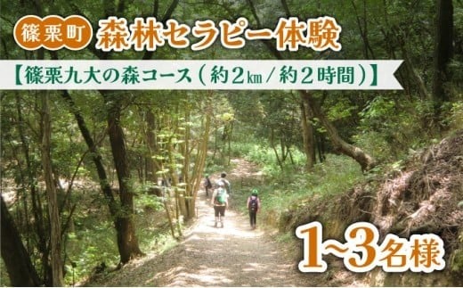 篠栗町森林セラピー体験1～3名様【篠栗九大の森コース（約2km/約2時間）】FZ005 | 森林 セラピー ハイキング 自然 体験 森 観光 四国八十八ヶ所霊場 お遍路 篠栗町