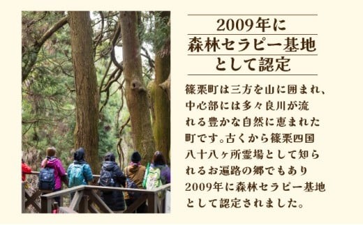 篠栗町森林セラピー体験1～3名様【篠栗九大の森コース（約2km/約2時間）】FZ005 | 森林 セラピー ハイキング 自然 体験 森 観光 四国八十八ヶ所霊場 お遍路 篠栗町