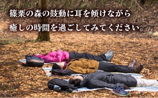 篠栗町森林セラピー体験1～3名様【篠栗九大の森コース（約2km/約2時間）】FZ005 | 森林 セラピー ハイキング 自然 体験 森 観光 四国八十八ヶ所霊場 お遍路 篠栗町