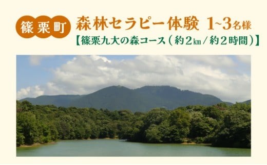 篠栗町森林セラピー体験1～3名様【篠栗九大の森コース（約2km/約2時間）】FZ005 | 森林 セラピー ハイキング 自然 体験 森 観光 四国八十八ヶ所霊場 お遍路 篠栗町