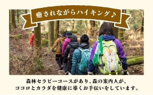 森林セラピー＆スワッグ（苔玉）づくり体験2名様 FZ006 | 森林 セラピー ハイキング 自然 体験 森 観光 四国八十八ヶ所霊場 お遍路 健康 手作り体験 ワークショップ 篠栗町