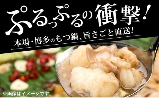 牛もつ鍋 味噌味 3人前セット PE005