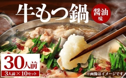 牛もつ鍋 醤油味 30人前（3人前×10セット） PE004