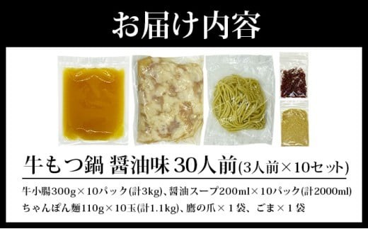 牛もつ鍋 醤油味 30人前（3人前×10セット） PE004