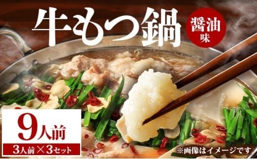 牛もつ鍋 醤油味 9人前（3人前×3セット） PE002
