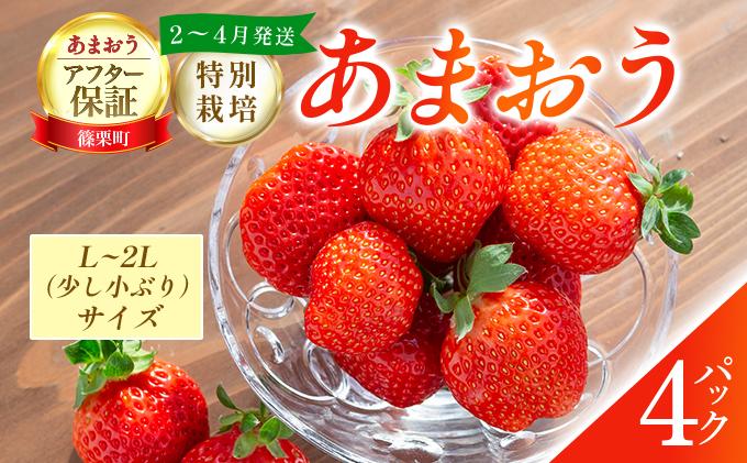 いちご 福岡県産 特別栽培 あまおう L~2Lサイズ（少し小ぶりサイズ）約1140g（約285g×4パック）【2～4月発送】| 農園直送 アフター保証 先行予約 福岡産 送料無料 ケーキ ギフト お祝い 限定 季節限定 UN004