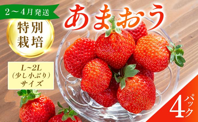 福岡県産 特別栽培 あまおう L~2Lサイズ（少し小ぶりサイズ）約1140g（約285g×4パック）【2～4月発送】 | 農園直送 アフター保証 先行予約 福岡産 送料無料 ケーキ ギフト お祝い 限定 季節限定 UN004