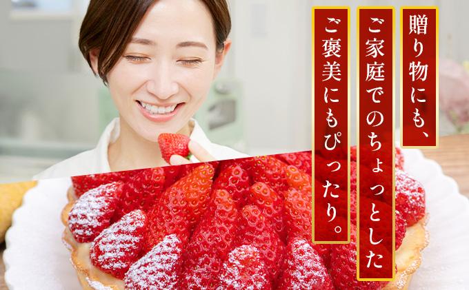 福岡県産 特別栽培 あまおう L~2Lサイズ（少し小ぶりサイズ）約1140g（約285g×4パック）【2～4月発送】 | 農園直送 アフター保証 先行予約 福岡産 送料無料 ケーキ ギフト お祝い 限定 季節限定 UN004