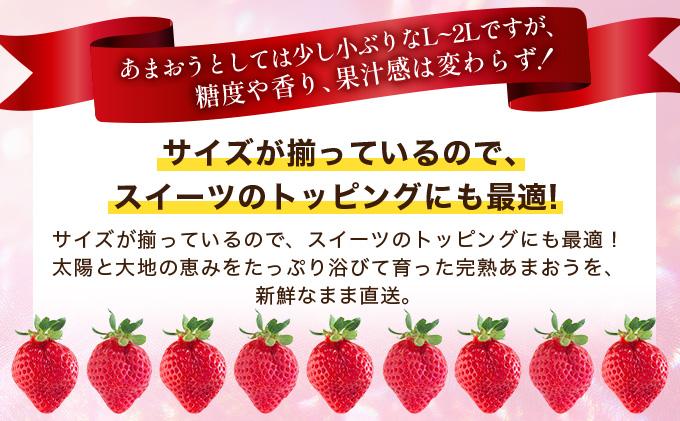 福岡県産 特別栽培 あまおう L~2Lサイズ（少し小ぶりサイズ）約1140g（約285g×4パック）【2～4月発送】 | 農園直送 アフター保証 先行予約 福岡産 送料無料 ケーキ ギフト お祝い 限定 季節限定 UN004
