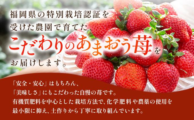 福岡県産 特別栽培 あまおう L~2Lサイズ（少し小ぶりサイズ）約1140g（約285g×4パック）【2～4月発送】 | 農園直送 アフター保証 先行予約 福岡産 送料無料 ケーキ ギフト お祝い 限定 季節限定 UN004