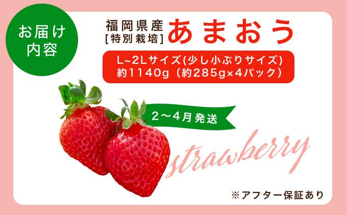 福岡県産 特別栽培 あまおう L~2Lサイズ（少し小ぶりサイズ）約1140g（約285g×4パック）【2～4月発送】 | 農園直送 アフター保証 先行予約 福岡産 送料無料 ケーキ ギフト お祝い 限定 季節限定 UN004