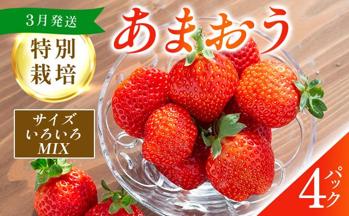 福岡県産 特別栽培 あまおう サイズいろいろMIX 約1140g（約285g×4パック）【3月発送】| 農園直送 アフター保証 先行予約 福岡産 送料無料 ケーキ ギフト お祝い 限定 季節限定 UN002