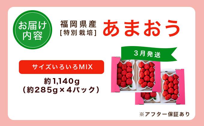 福岡県産 特別栽培 あまおう サイズいろいろMIX 約1140g（約285g×4パック）【3月発送】| 農園直送 アフター保証 先行予約 福岡産 送料無料 ケーキ ギフト お祝い 限定 季節限定 UN002
