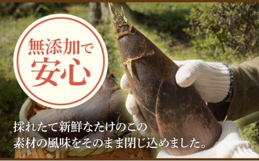 篠栗産たけのこの水煮200g×3パック BZ025