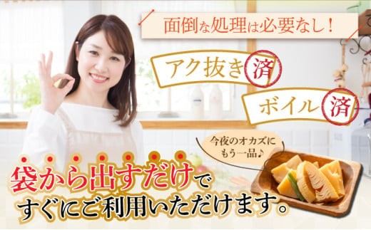 篠栗産たけのこの水煮200g×2パック BZ024