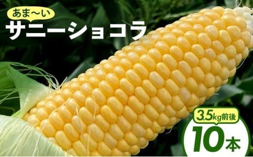 上品な甘さのトウモロコシ「サニーショコラ」(3.5kg前後/10本)　| サニーショコラ トウモロコシ 甘い コーン とうもろこし 野菜 BBQ おやつ