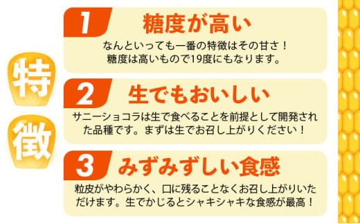 上品な甘さのトウモロコシ「サニーショコラ」(3.5kg前後/10本)　| サニーショコラ トウモロコシ 甘い コーン とうもろこし 野菜 BBQ おやつ