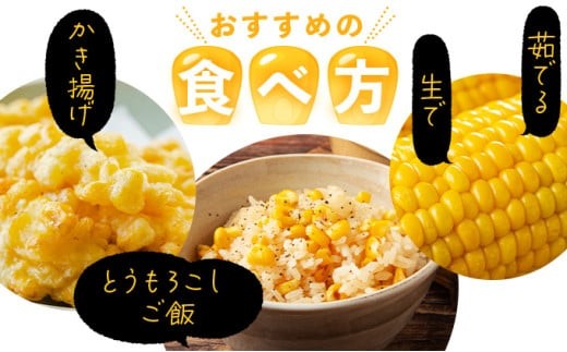 上品な甘さのトウモロコシ「サニーショコラ」(3.5kg前後/10本)　| サニーショコラ トウモロコシ 甘い コーン とうもろこし 野菜 BBQ おやつ