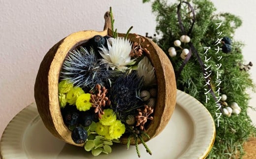 ブッダナッツ ドライフラワー アレンジメント XY006