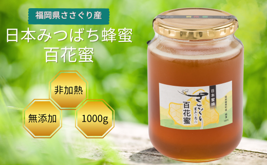 日本蜜蜂「ささぐり里山のはちみつ」（百花蜜）1000g AA002