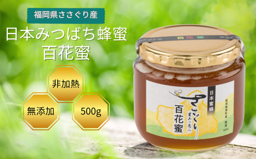 日本蜜蜂「ささぐり里山のはちみつ」（百花蜜）500g AA001